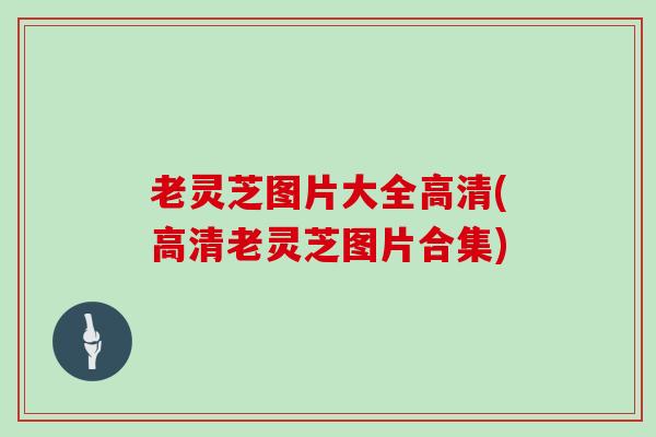老灵芝图片大全高清(高清老灵芝图片合集)