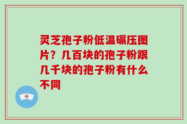 灵芝孢子粉低温碾压图片？几百块的孢子粉跟几千块的孢子粉有什么不同