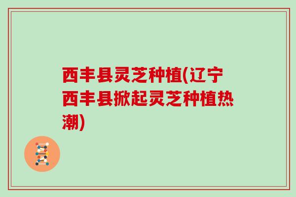 西丰县灵芝种植(辽宁西丰县掀起灵芝种植热潮)
