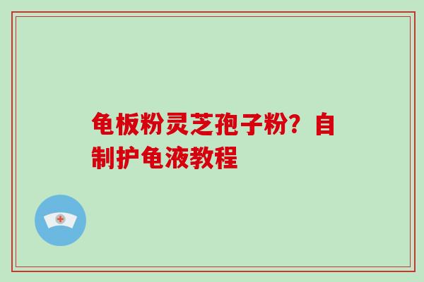 龟板粉灵芝孢子粉？自制护龟液教程