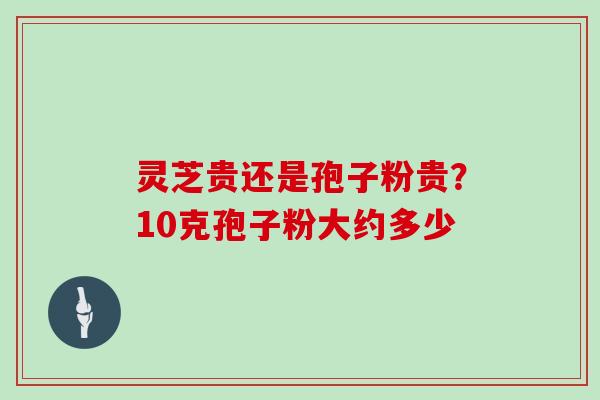 灵芝贵还是孢子粉贵？10克孢子粉大约多少