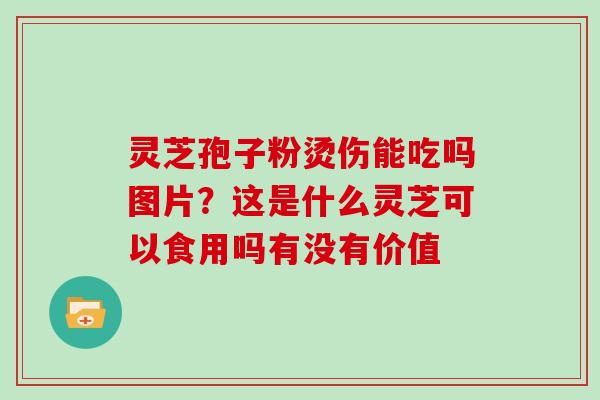 灵芝孢子粉烫伤能吃吗图片？这是什么灵芝可以食用吗有没有价值