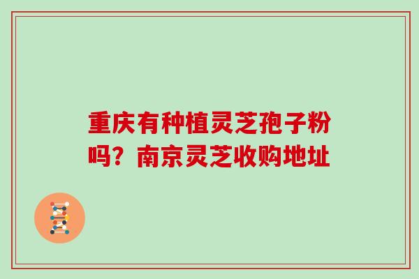 重庆有种植灵芝孢子粉吗？南京灵芝收购地址