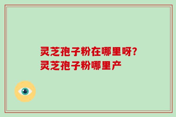 灵芝孢子粉在哪里呀？灵芝孢子粉哪里产