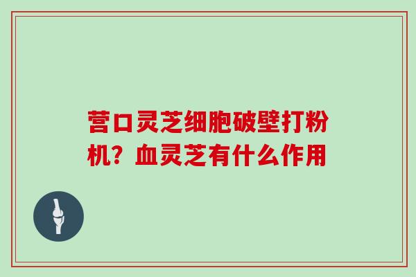 营口灵芝细胞破壁打粉机？血灵芝有什么作用