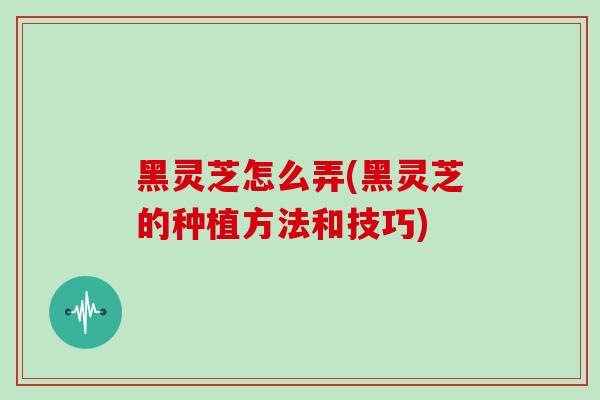 黑灵芝怎么弄(黑灵芝的种植方法和技巧)