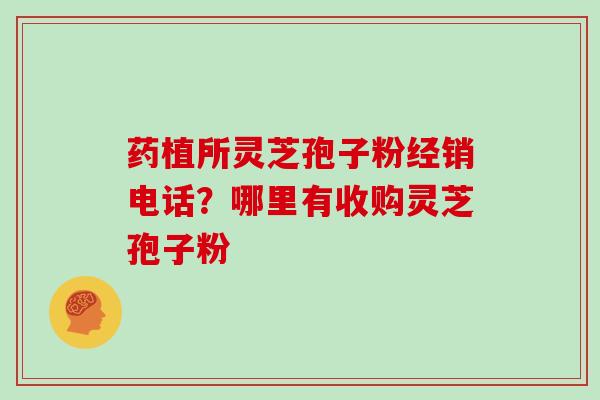药植所灵芝孢子粉经销电话？哪里有收购灵芝孢子粉