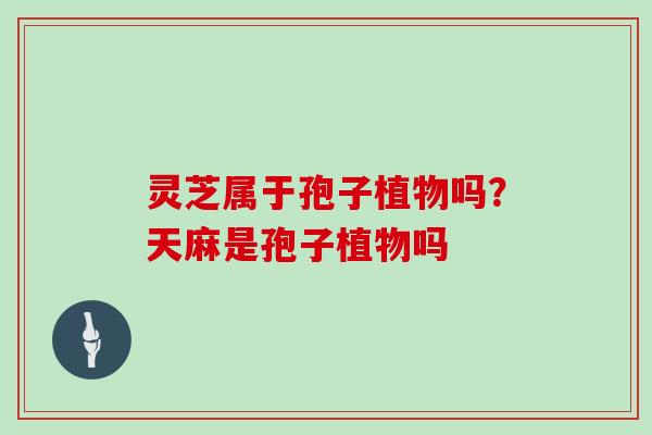 灵芝属于孢子植物吗？天麻是孢子植物吗