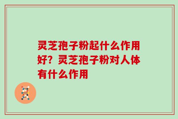 灵芝孢子粉起什么作用好？灵芝孢子粉对人体有什么作用
