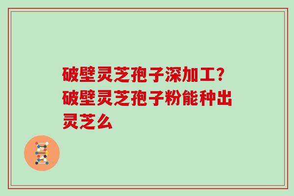 破壁灵芝孢子深加工？破壁灵芝孢子粉能种出灵芝么