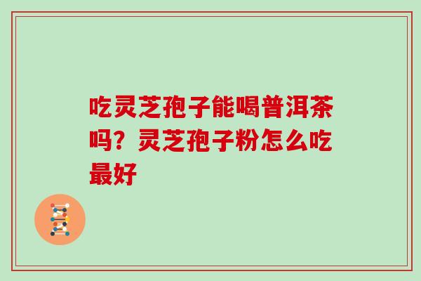 吃灵芝孢子能喝普洱茶吗？灵芝孢子粉怎么吃最好