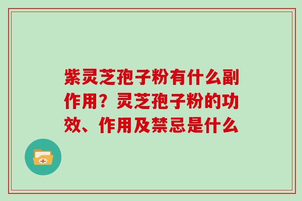 紫灵芝孢子粉有什么副作用？灵芝孢子粉的功效、作用及禁忌是什么