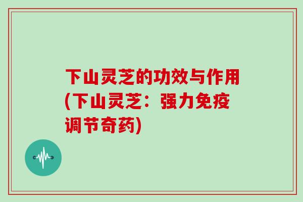 下山灵芝的功效与作用(下山灵芝：强力免疫调节奇药)