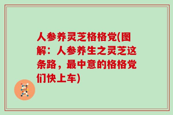 人参养灵芝格格党(图解：人参养生之灵芝这条路，最中意的格格党们快上车)