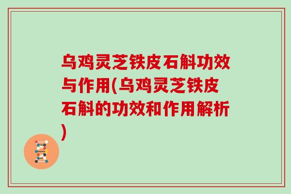 乌鸡灵芝铁皮石斛功效与作用(乌鸡灵芝铁皮石斛的功效和作用解析)