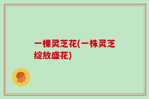 一棵灵芝花(一株灵芝绽放盛花)