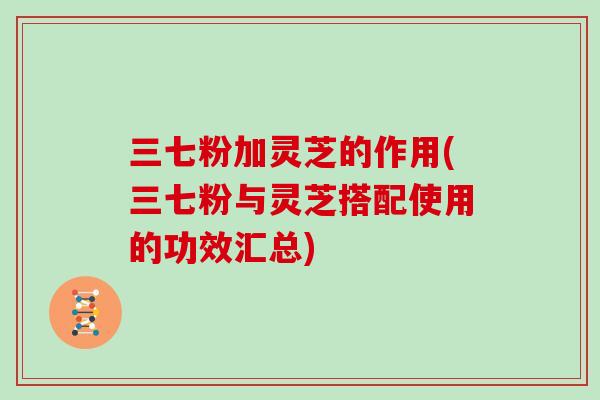 三七粉加灵芝的作用(三七粉与灵芝搭配使用的功效汇总)
