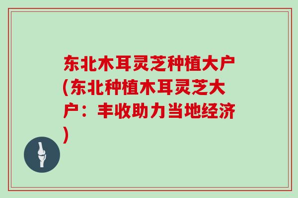东北木耳灵芝种植大户(东北种植木耳灵芝大户：丰收助力当地经济)