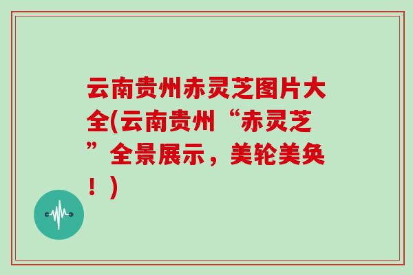 云南贵州赤灵芝图片大全(云南贵州“赤灵芝”全景展示，美轮美奂！)