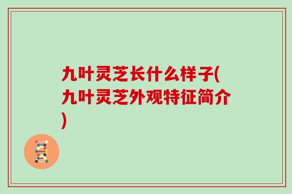 九叶灵芝长什么样子(九叶灵芝外观特征简介)