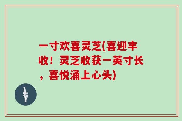 一寸欢喜灵芝(喜迎丰收!灵芝收获一英寸长,喜悦涌上心头)-第1张图片-灵芝大师 一寸欢喜灵芝(喜迎丰收!灵芝收获一英寸长,喜悦涌上心头)-第1张图片-灵芝大师