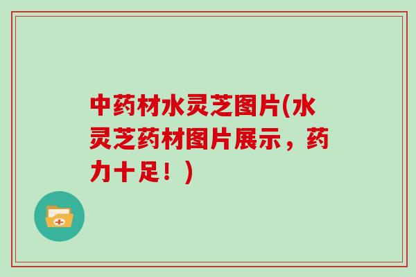 中药材水灵芝图片(水灵芝药材图片展示，药力十足！)