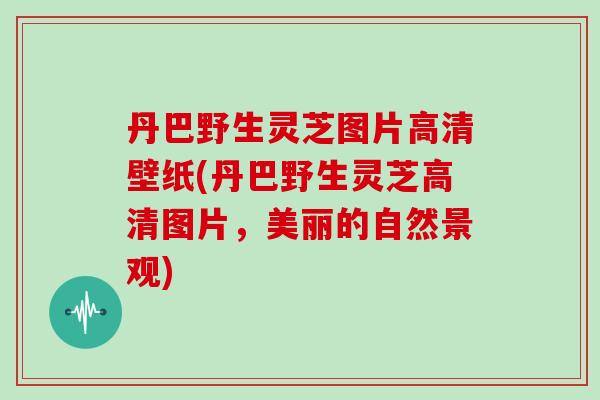 丹巴野生灵芝图片高清壁纸(丹巴野生灵芝高清图片，美丽的自然景观)