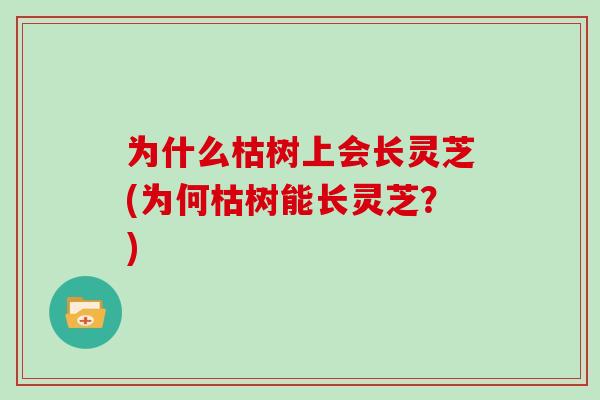 为什么枯树上会长灵芝(为何枯树能长灵芝？)