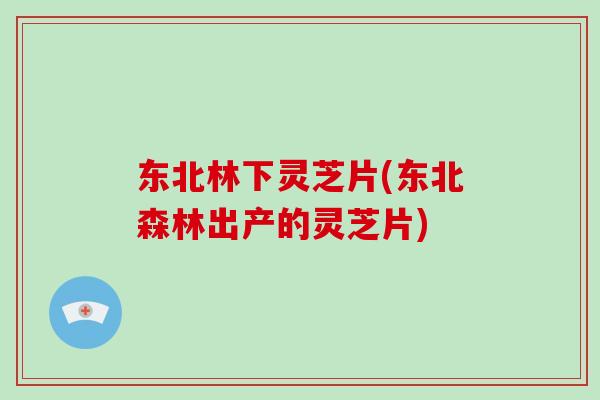 东北林下灵芝片(东北森林出产的灵芝片)