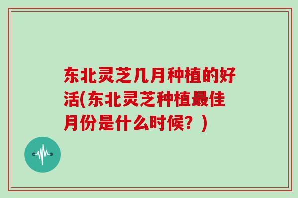 东北灵芝几月种植的好活(东北灵芝种植最佳月份是什么时候？)