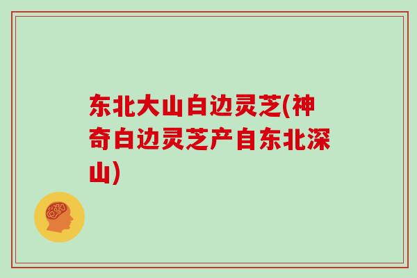 东北大山白边灵芝(神奇白边灵芝产自东北深山)