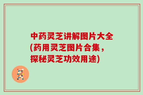 中药灵芝讲解图片大全(药用灵芝图片合集，探秘灵芝功效用途)