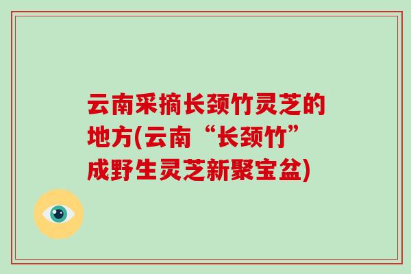 云南采摘长颈竹灵芝的地方(云南“长颈竹”成野生灵芝新聚宝盆)