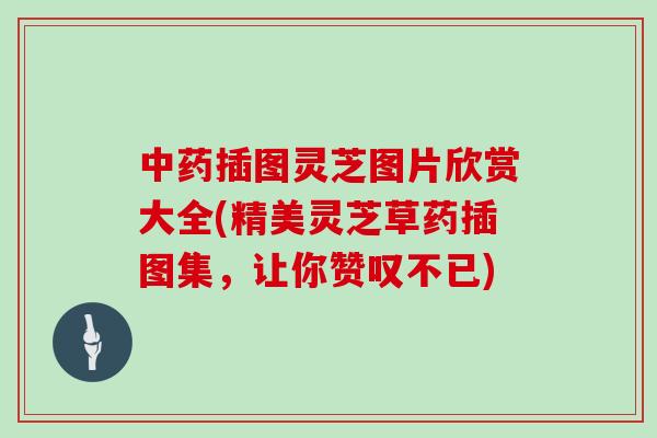 中药插图灵芝图片欣赏大全(精美灵芝草药插图集，让你赞叹不已)