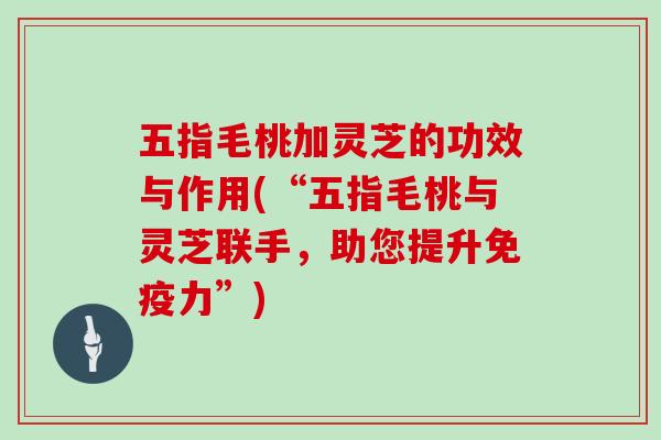 五指毛桃加灵芝的功效与作用(“五指毛桃与灵芝联手，助您提升免疫力”)