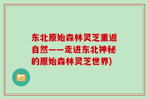 东北原始森林灵芝重返自然——走进东北神秘的原始森林灵芝世界)