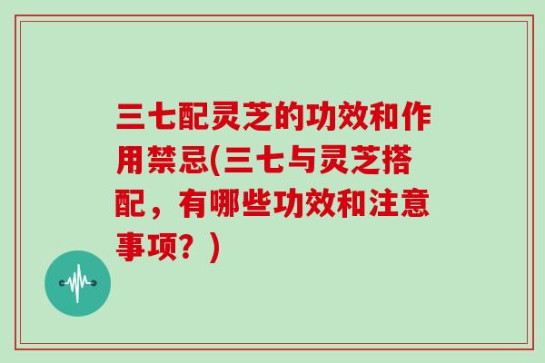 三七配灵芝的功效和作用禁忌(三七与灵芝搭配，有哪些功效和注意事项？)