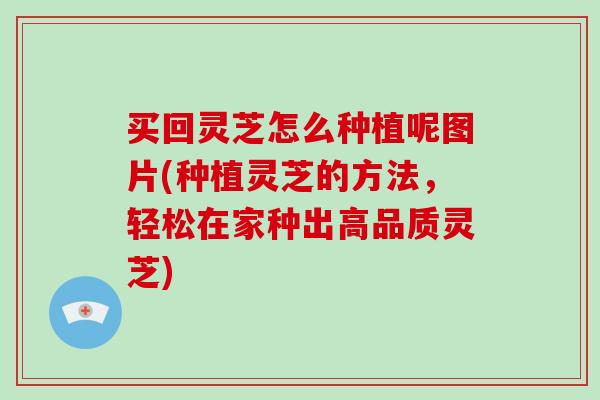 买回灵芝怎么种植呢图片(种植灵芝的方法，轻松在家种出高品质灵芝)