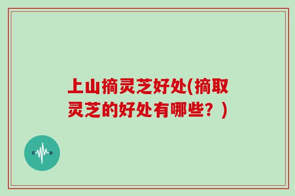 上山摘灵芝好处(摘取灵芝的好处有哪些?)-第1张图片-灵芝大师 上山摘灵芝好处(摘取灵芝的好处有哪些?)-第1张图片-灵芝大师