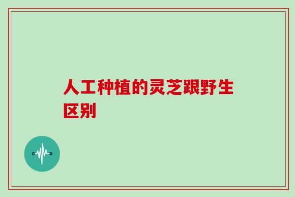 人工种植的灵芝跟野生区别