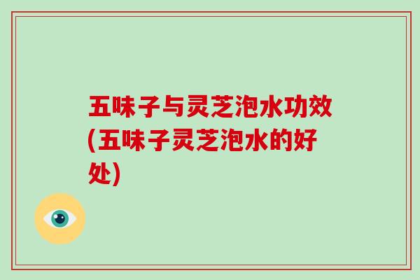 五味子与灵芝泡水功效(五味子灵芝泡水的好处)