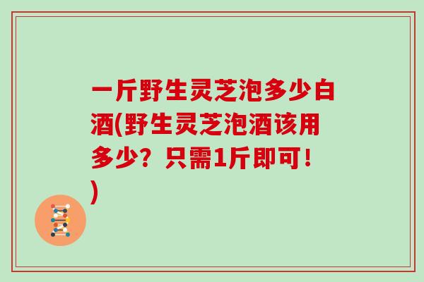 一斤野生灵芝泡多少白酒(野生灵芝泡酒该用多少？只需1斤即可！)