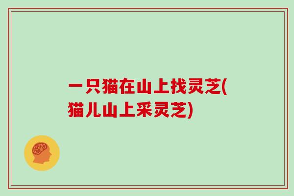 一只猫在山上找灵芝(猫儿山上采灵芝)-第1张图片-灵芝大师 一只猫在山上找灵芝(猫儿山上采灵芝)-第1张图片-灵芝大师