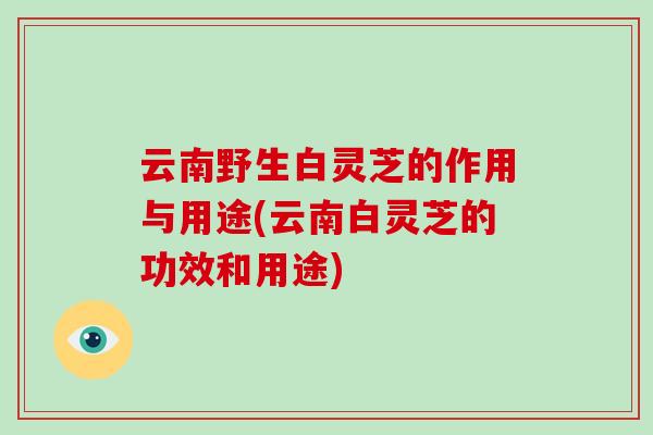 云南野生白灵芝的作用与用途(云南白灵芝的功效和用途)