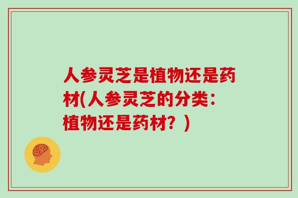 人参灵芝是植物还是药材(人参灵芝的分类:植物还是药材?)-第1张图片-灵芝大师 人参灵芝是植物还是药材(人参灵芝的分类:植物还是药材?)-第1张图片-灵芝大师