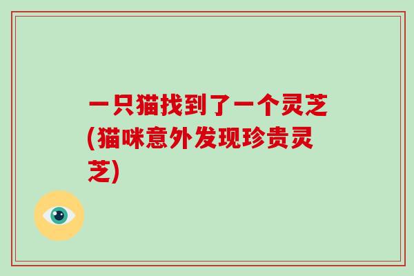 一只猫找到了一个灵芝(猫咪意外发现珍贵灵芝)