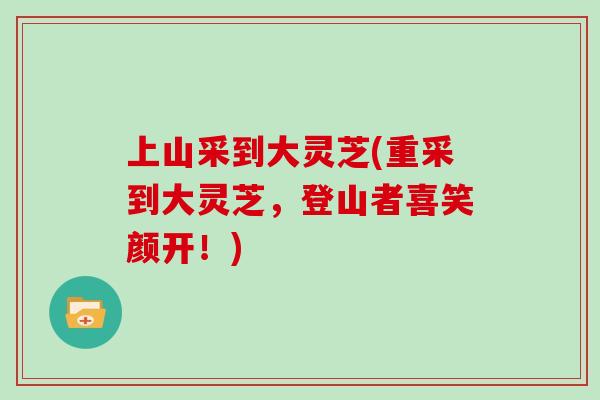 上山采到大灵芝(重采到大灵芝,登山者喜笑颜开!)-第1张图片-灵芝大师 上山采到大灵芝(重采到大灵芝,登山者喜笑颜开!)-第1张图片-灵芝大师