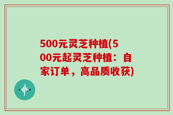 500元灵芝种植(500元起灵芝种植：自家订单，高品质收获)