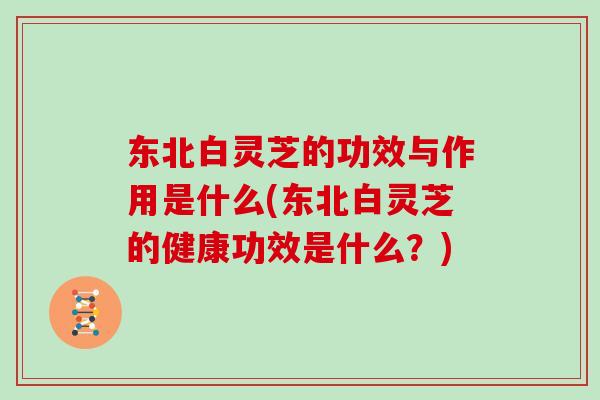 东北白灵芝的功效与作用是什么(东北白灵芝的健康功效是什么?)-第1张图片-灵芝大师 东北白灵芝的功效与作用是什么(东北白灵芝的健康功效是什么?)-第1张图片-灵芝大师
