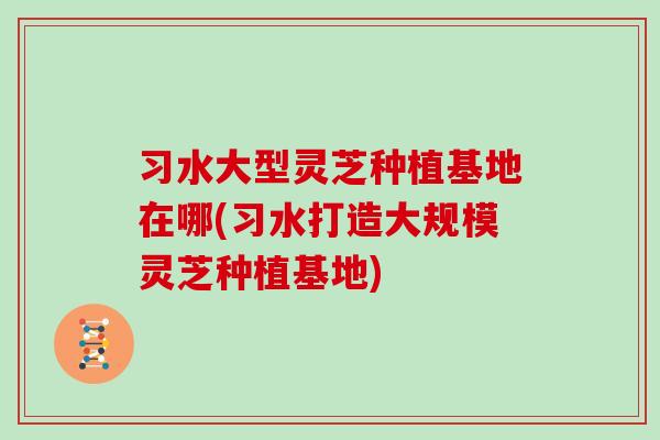 习水大型灵芝种植基地在哪(习水打造大规模灵芝种植基地)